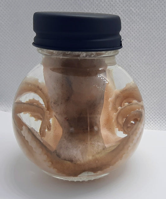 Octopus wet specimen taxidermy Oddities Curiosities ball jar