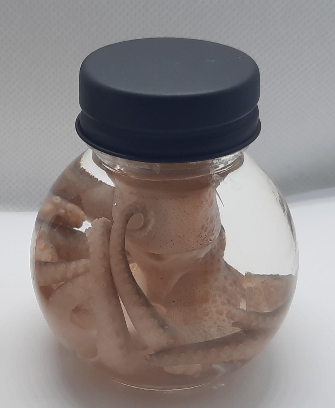 Wet Specimen Taxidermy real Octopus GLASS ball JAR oddity Oddities Steampunk Kraken Professionally preserved