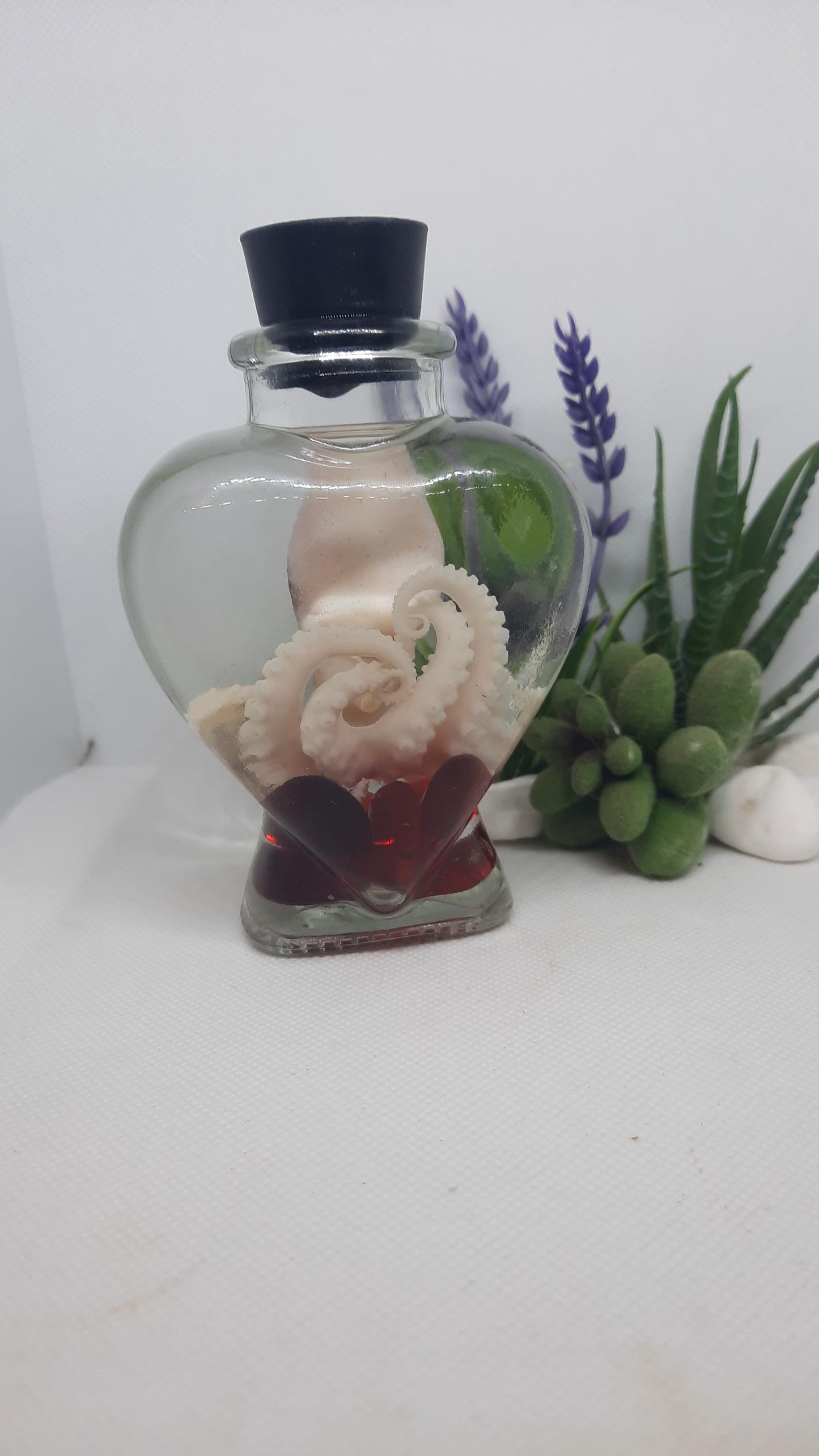 Octopus Wet Specimen glass heart jar Taxidermy Oddities curriosities red gems free ship