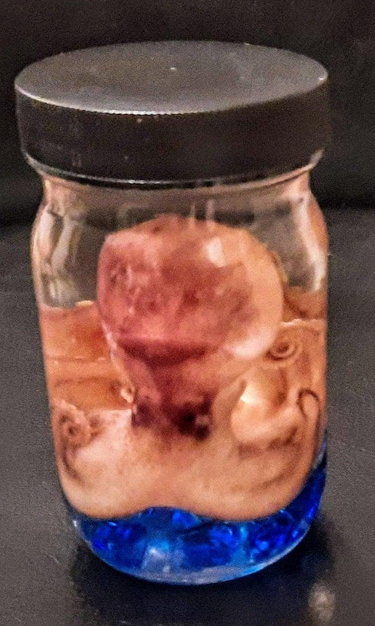 Wet Specimen Octopus tall glass jar oddity Oddities curiosities taxidermy Steampunk Kraken Professionally preserved #wetspecimen
