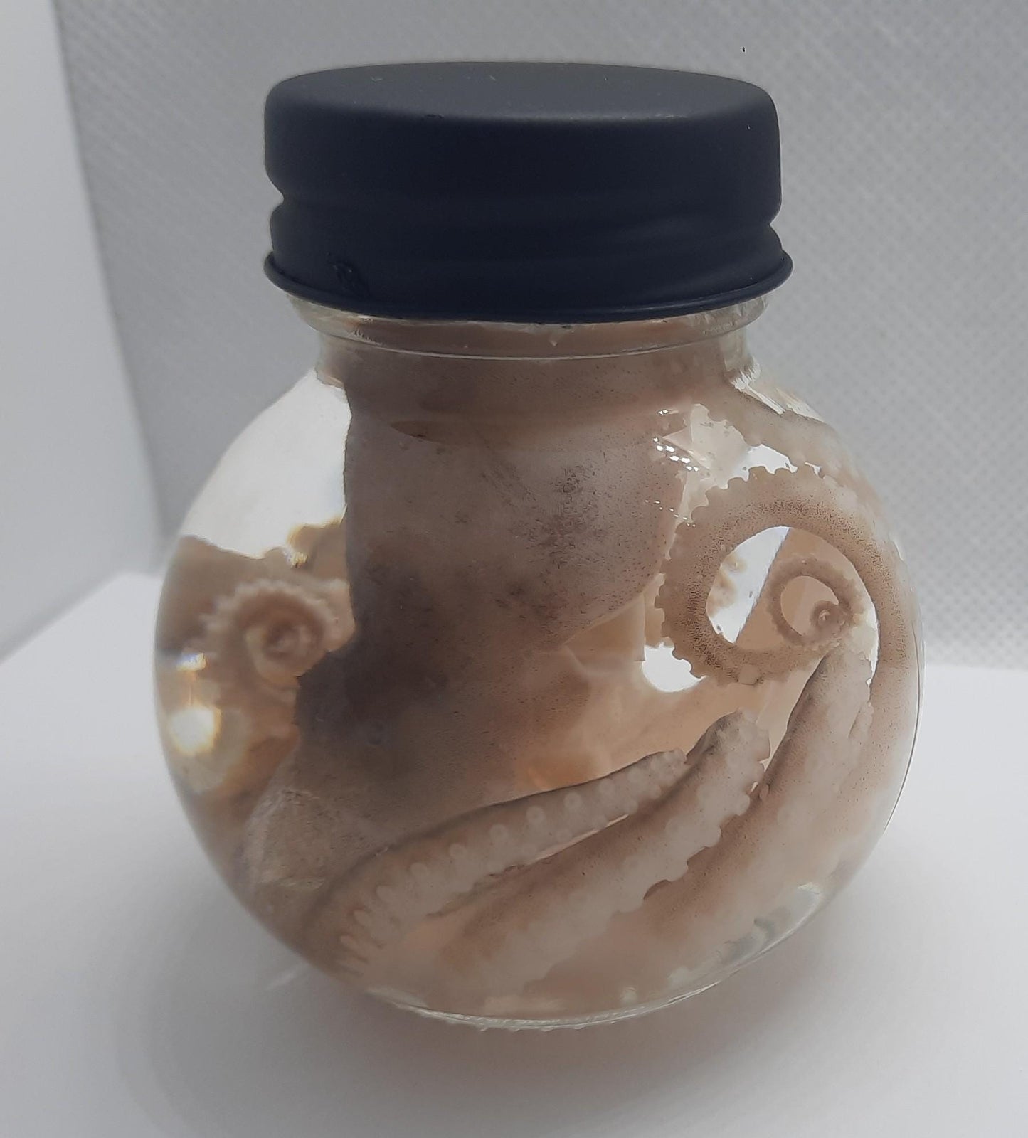 Wet Specimen Taxidermy real Octopus GLASS ball JAR oddity Oddities Steampunk Kraken Professionally preserved