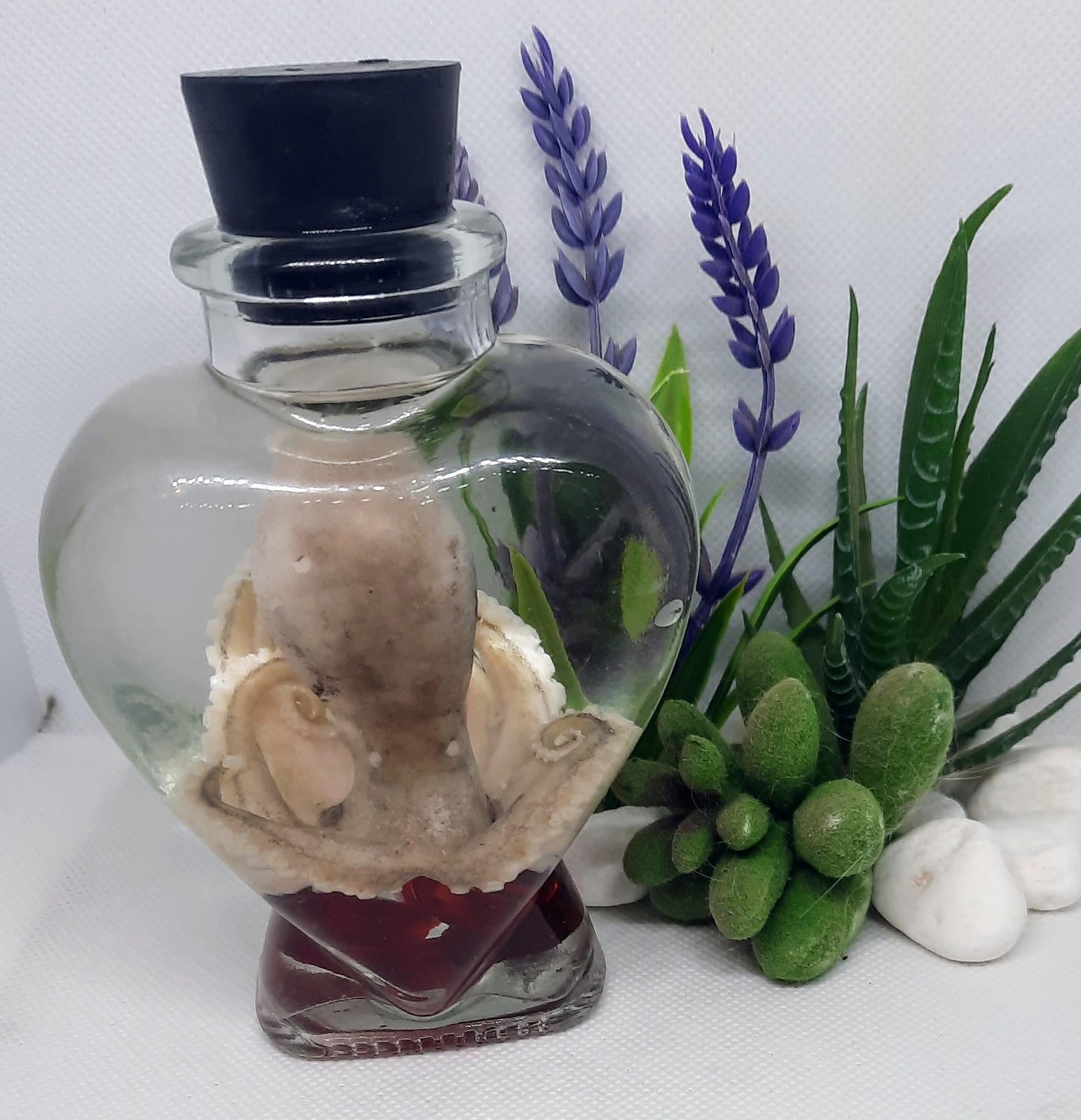 Octopus Wet Specimen glass heart jar Taxidermy Oddities curriosities red gems free ship