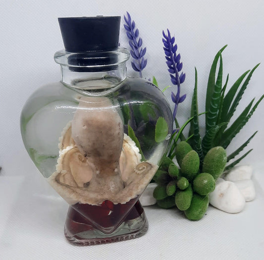 Octopus Wet Specimen glass heart jar Taxidermy Oddities curriosities red gems free ship