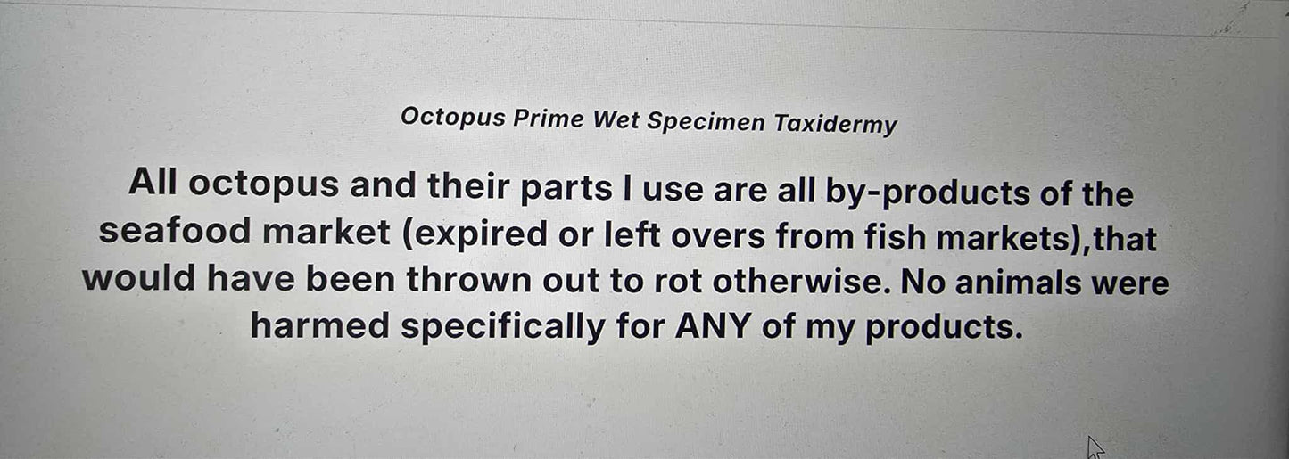 about Octopus Prime Specimens and creations