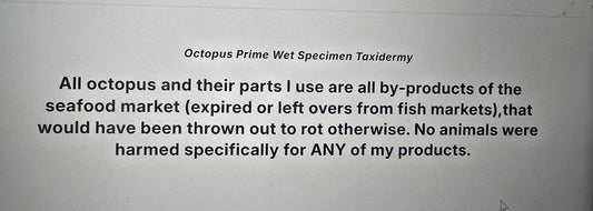 about Octopus Prime Specimens and creations