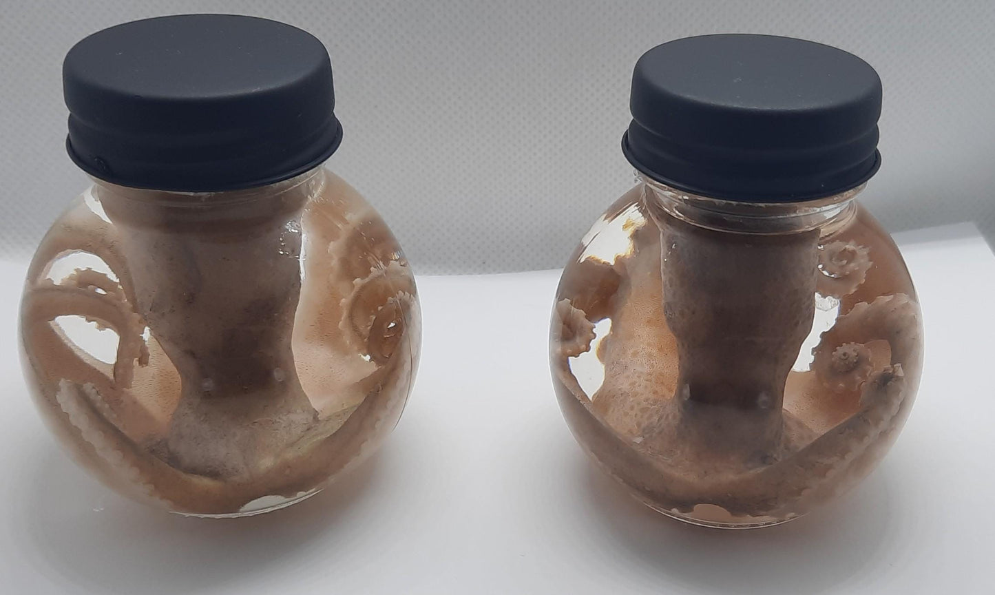 Wet Specimen Taxidermy real Octopus GLASS ball JAR oddity Oddities Steampunk Kraken Professionally preserved