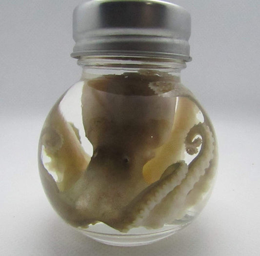 Wet Specimen Taxidermy real Octopus GLASS ball JAR oddity Oddities Steampunk Kraken Professionally preserved
