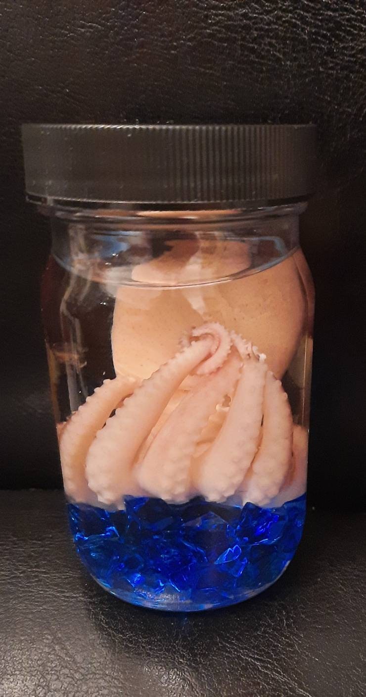 Wet Specimen Octopus tall glass jar oddity Oddities curiosities taxidermy Steampunk Kraken Professionally preserved #wetspecimen