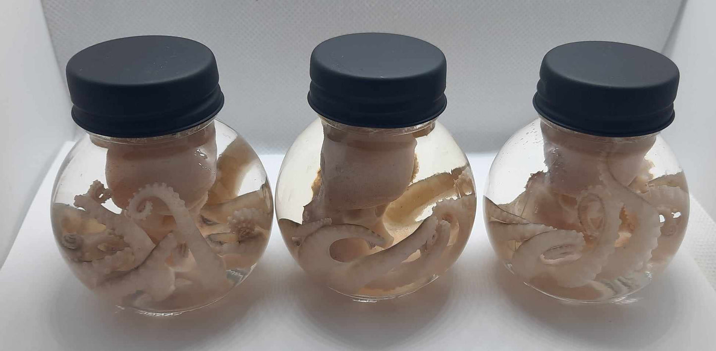 Octopus wet specimen ball jar taxidermy Oddities Steampunk real  kraken alter professionally preserved #wet specimen