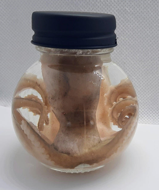 Octopus wet specimen ball jar taxidermy Oddities Steampunk real  kraken alter professionally preserved #wet specimen