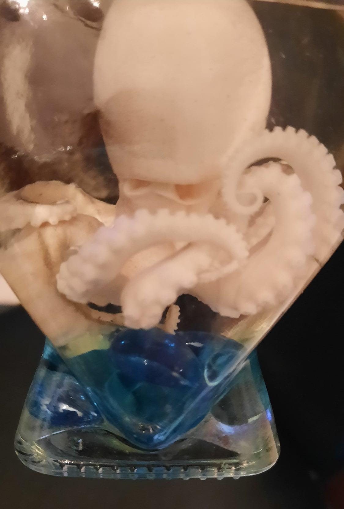 Octopus Wet Specimen glass heart jar Taxidermy Oddities curriosities free ship