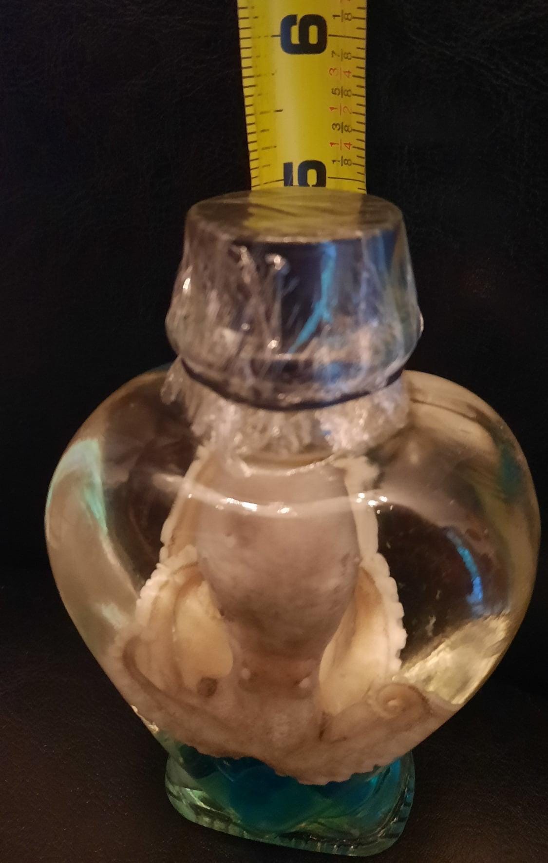 Octopus Wet Specimen glass heart jar Taxidermy Oddities curriosities free ship